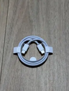 【Apple純正】USB-C to USB-C 充電ケーブル
