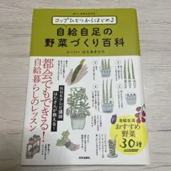 Item thumbnail for item 24ec131f-81ca-405e-82b7-7842d5ae284f