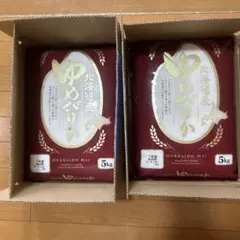 北海道産 ゆめぴりか 精米 5kg×2袋セットのサムネイル