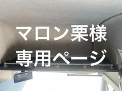 ISAKページ‼️プロフ必読 UDクオン　ルーフラック＋S字フック　AA UDクオン ルーフラック 収納 パーツ 内装品 カスタム 便利