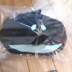 Item thumbnail for item dda09590-a03a-4a05-a31f-704572d790b5