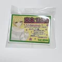 宮本フレデリカ ヴィレッジヴァンガード ネームバッジ