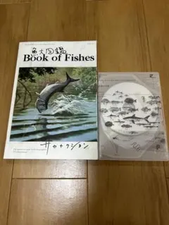 2026年最新】サカナクション 魚大図鑑の人気アイテム - メルカリ