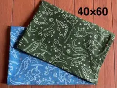 銀ラメ星恐竜③★単品ランチョンマット２枚セット40×60★給食ナフキン大判