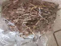つくし200g