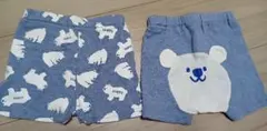 くま柄　パンツ2点セット 60〜70cm 未使用