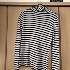 ストライプ タートルネック ニット