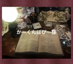 かーくんぽぴー様専用