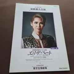 エリザベート パンフレット 2016年9月29日　宝塚観劇　宙組新人公演　瑠風輝