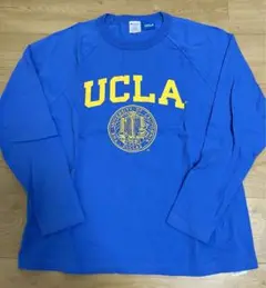 極美品 チャンピオン Champion UCLA T11011 L 青
