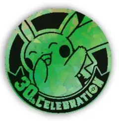 中国限定 ポケモン 30周年 ピカチュウ コイン 仕様⑱ GREEN ICE