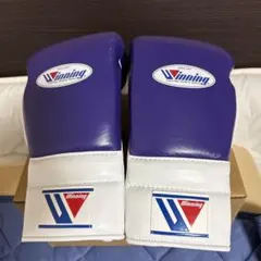 2025年最新】ウイニング グローブ 14 オンスの人気アイテム