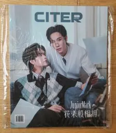 CITER PULSE JuniorMark 雑誌