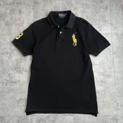 希少 90s ポロバイラルフローレン 短丈 ビッグポ二ー ポロシャツ swag
