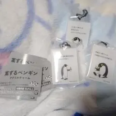未使用匿名配送 案ずるペンギン アクリルチャーム デザインC D I 3種セット