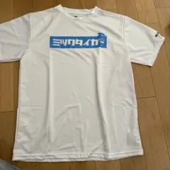 Item thumbnail for item 0de006ce-e7ad-4892-b187-060e201f25f2