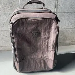 Item thumbnail for item b4615a27-d7cc-4d26-adc6-bcb80953a1ca