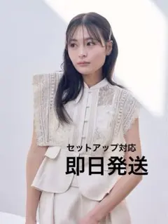 LILY BROWN スイッチングレースブラウス