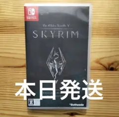 The Elder Scrolls V: Skyrim (Switch)