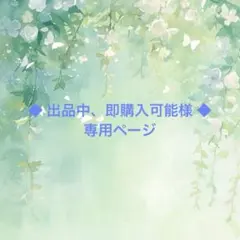 出品中、即購入可能様 専用ページ