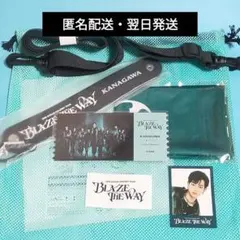 &TEAM BLAZE THE WAY アプグレ特典 全セット HARUA