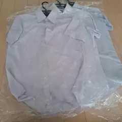 Item thumbnail for item 69789dab-a4fa-451a-810d-d4c8ff5e244a