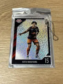 Item thumbnail for item ba1a5516-9ed2-440d-aafb-f05e62a18d34