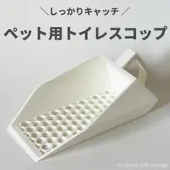 Item thumbnail for item 8dbaffa3-9cf1-4f04-bf92-e1d5d13713a6