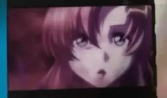 ガンダムSEED ラクス  入場特典 コマフィルム