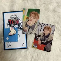 straykids スキズ アイエン トイワールド D賞