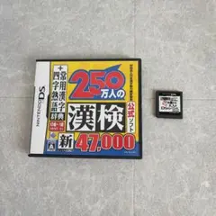 ニンテンドー DSソフト 250万人の漢検 大人のDSトレーニング