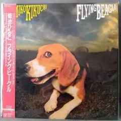 2026年最新】菊池ひみこ レコードの人気アイテム - メルカリ