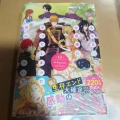 ある日、お姫様になってしまった件について 13巻 シュリンク付き