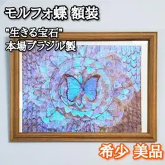 2026年最新】モルフォ蝶 額の人気アイテム - メルカリ