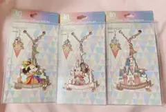 ディズニーランド 40周年 バッグチャーム ミッキー ミニー シンデレラ城