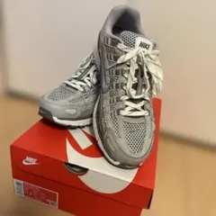 【美品】Nike P6000 メタリックシルバー