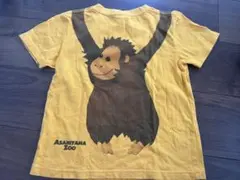 Asahiyama Zoo キッズTシャツ イエロー 120cmのサムネイル