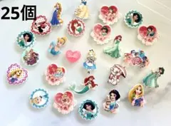 ディズニープリンセス 他デコレーションパーツ 25個セット