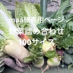 maa様専用ページ 野菜詰め合わせ　100サイズ