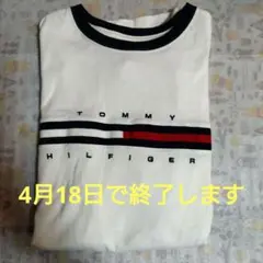 TOMMY HILFIGER ホワイト Tシャツ S/P