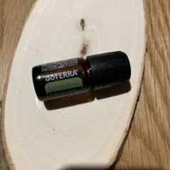 ドテラ doTERRA サマーセイボリー 5ml エッセンシャルオイル