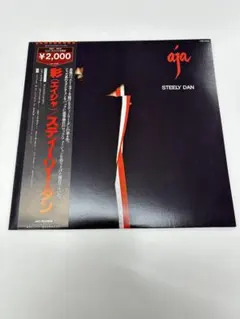 スティーリー・ダン【彩エイジャ】