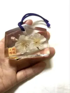 靖國の櫻 桜 レジン 根付 ストラップ 和装小物