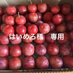 はいめろ様 専用　1162g