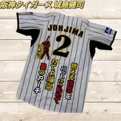 城島　ユニフォーム　日本代表　JAPAN 野球　城島健司　XLサイズ 送料無料 即落 タグ付新品 2009WBC日本代表ユニフォーム 城島