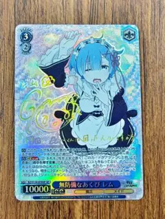 2025年最新】ヴァイスシュヴァルツの人気アイテム - メルカリ