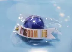 登坂広臣　ローズキーホルダー