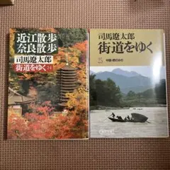 街道をゆく 24 25 中国　近江・奈良散歩)