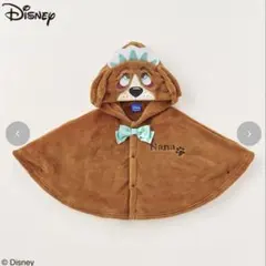 【新品未使用タグ付】ディズニー　ピーターパン　ナナ　バースデイ　nanaのサムネイル