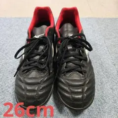 Item thumbnail for item 83c48e71-476e-4f69-a5a5-e25d787163cc